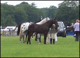 xpresso and Ruth at Angus Show