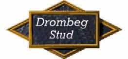 link to Drombeg Stud