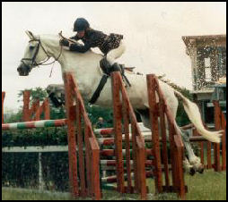 Ryan's Mist showjumping