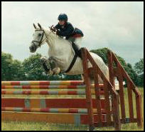 Ryan's Mist showjumping