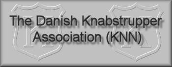 Link to the Danish Knabstrupper breed society website