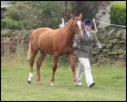 Phoenix at her 1st show