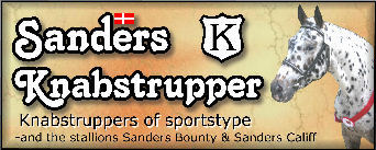 link to Jenda Sanderson's Knabstrupper website