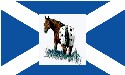 Scottish Appaloosas